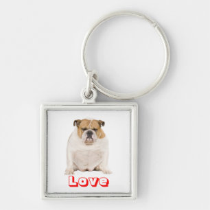 Porte-clés chiot Bouledogue Anglais adorable