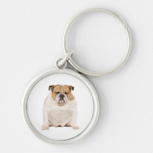 Porte-clés Chiot Bouledogue Anglais Mignon