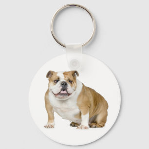Porte-clés chiot Bouledogue anglais mignon