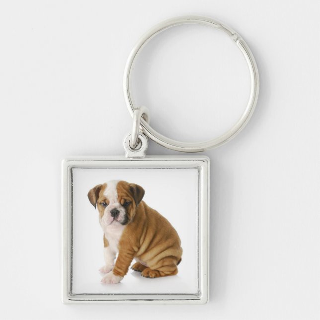 Porte-clés chiot Bouledogue anglais mignon (Devant)