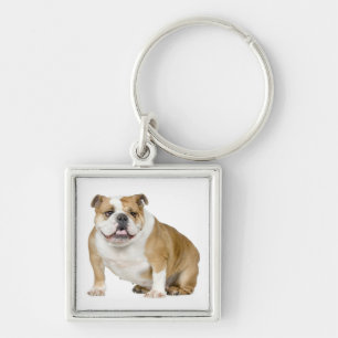 Porte-clés chiot Bouledogue anglais mignon