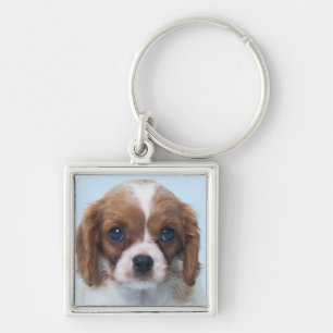 Porte-clés Chiot cavalier d'épagneul du Roi Charles