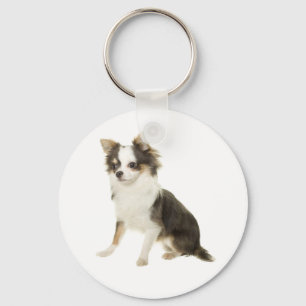 Porte-clés chiot Chihuahua à poils longs