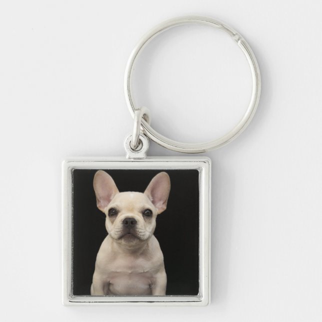 Porte-clés Chiot crème de bouledogue français (Devant)