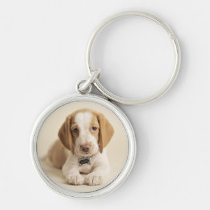 Porte-clés Chiot de beagle