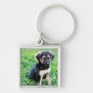 Porte-clés Chiot de berger allemand