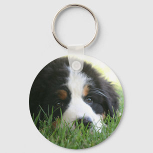 Porte-clés Chiot de Bernese