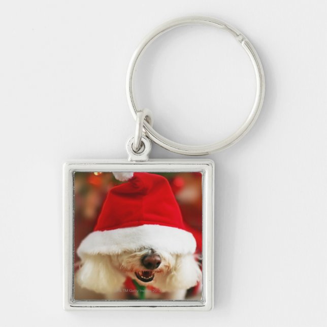 Porte-clés Chiot de Bichon Frise utilisant le costume de Père (Devant)