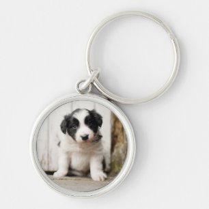 Porte-clés Chiot de border collie