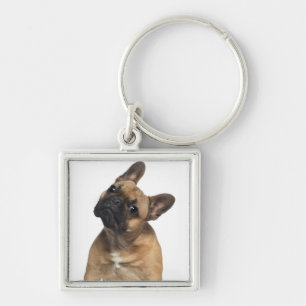 Porte-clés Chiot de bouledogue français (7 mois)