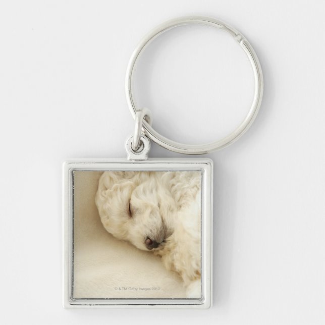 Porte-clés Chiot de caniche de sommeil (Devant)