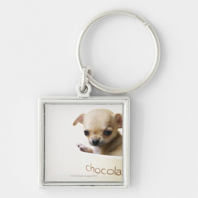 Porte-clés Chiot de chiwawa dans la cuvette (cultivée) (Devant)
