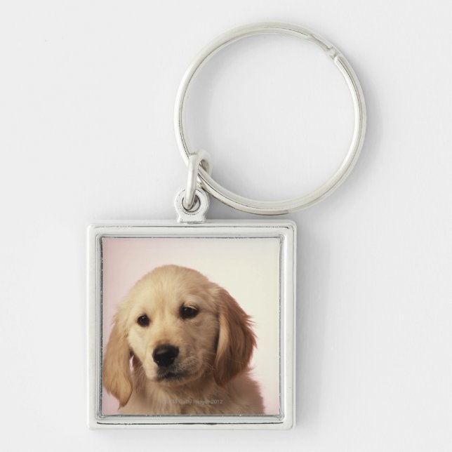 Porte-clés Chiot de golden retriever (Devant)