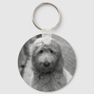 Porte-clés Chiot De Goldendoodle En Jardin