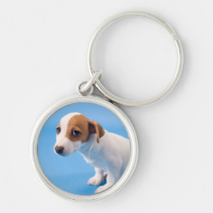 Porte-clés Chiot de Jack Russell