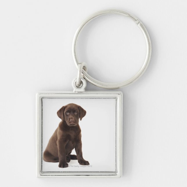 Porte-clés Chiot de labrador retriever de chocolat (Devant)