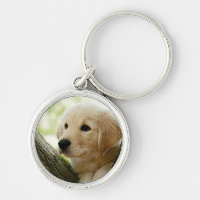 Porte-clés Chiot de Labrador se reposant dans un arrangement (Devant)