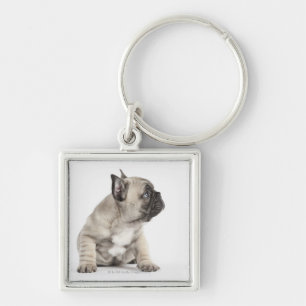 Porte-clés Chiot de pure race