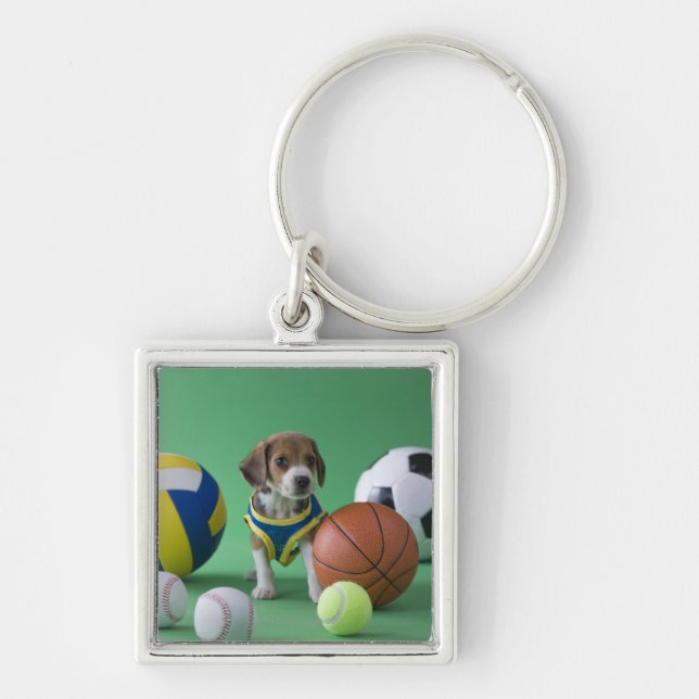 Porte-clés Chiot entouré par des boules de sport (Devant)
