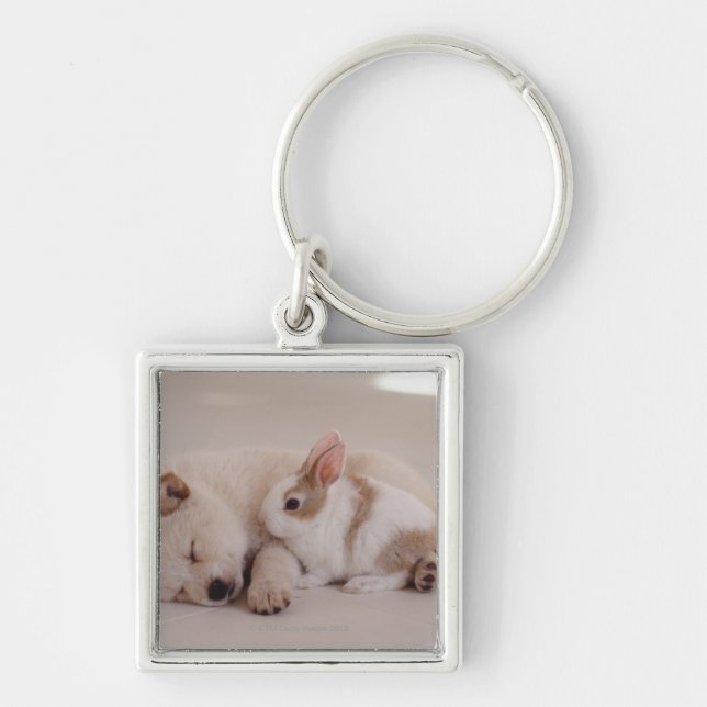 Porte-clés Chiot et lapin (Devant)