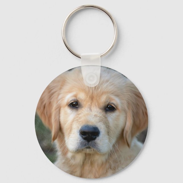 Porte-clés Chiot Golden Retriever (Recto)