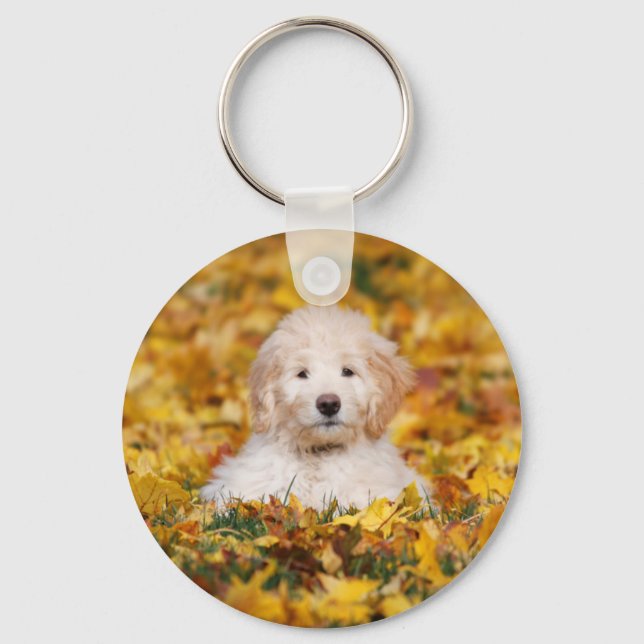 Porte-clés Chiot Goldendoodle En Feuilles Automnes (Recto)