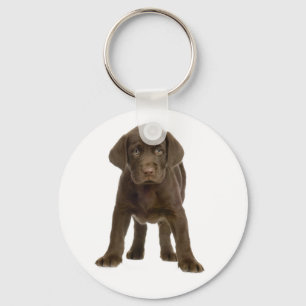 Porte-clés chiot Labrador Retriever au chocolat