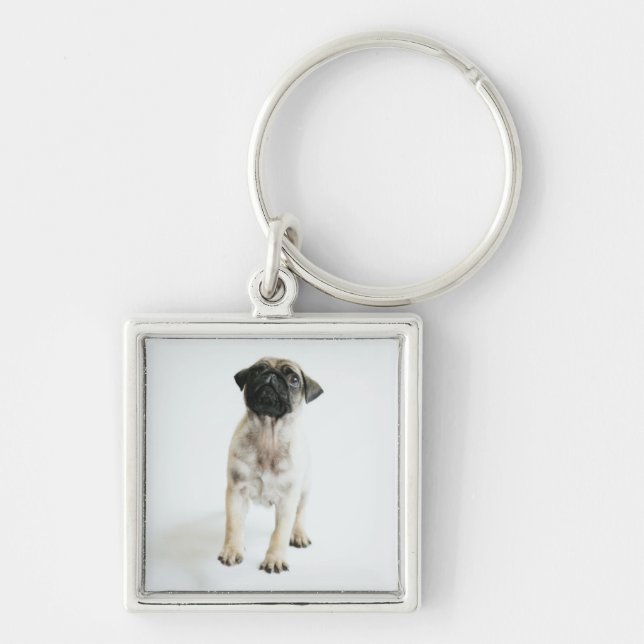 Porte-clés Chiot mignon de carlin (Devant)