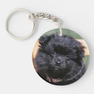 Porte-clés Chiot noir de Pomeranian
