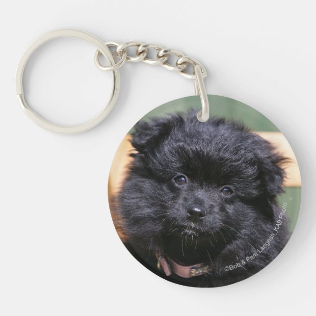 Porte-clés Chiot noir de Pomeranian (Devant)
