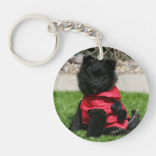 Porte-clés Chiot noir de Pomeranian regardant