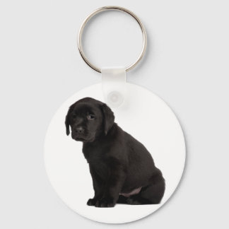 Porte-clés Chiot noir Labrador