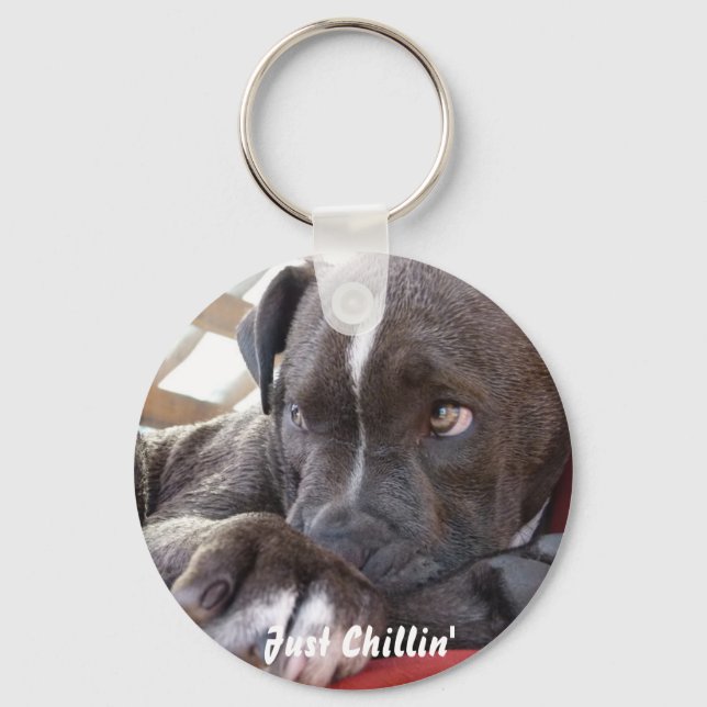 Porte-clés Chiot Pitbull pour bébé modifiable (Recto)