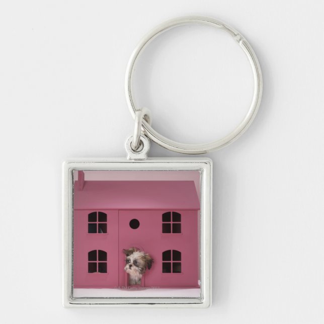 Porte-clés Chiot scrutant hors de la maison de poupée (Devant)