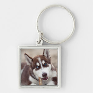Porte-clés Chiot sibérien Husky à la plage