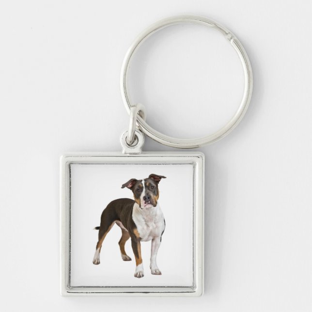 Porte-clés chiot Terrier Amstaff (Devant)