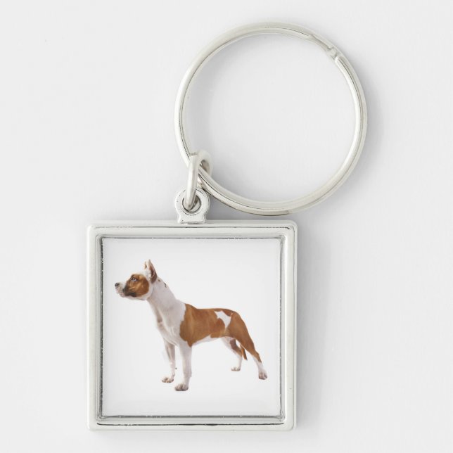 Porte-clés chiot Terrier Amstaff (Devant)