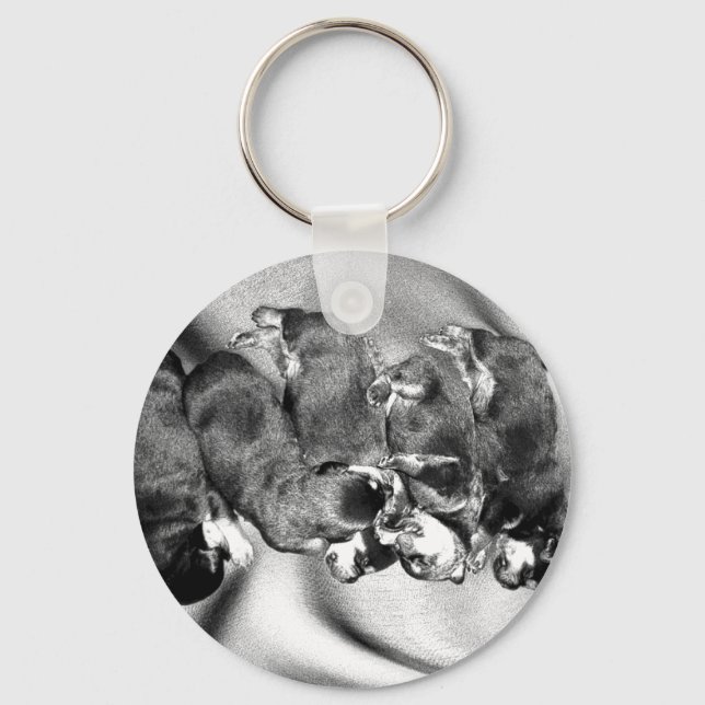 Porte-clés chiots à tête blanche (Recto)