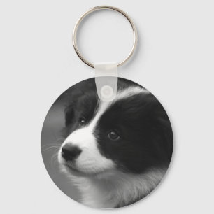 Porte-clés Chiots Border Collie