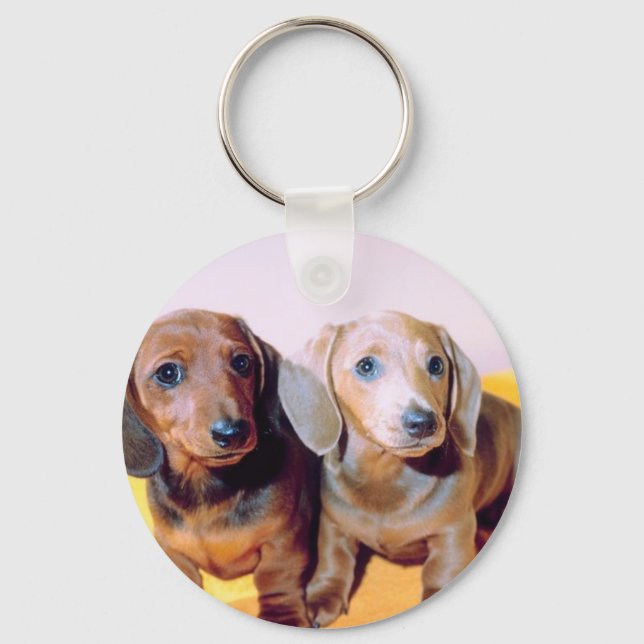 Porte-clés Chiots de Dachsund (Recto)