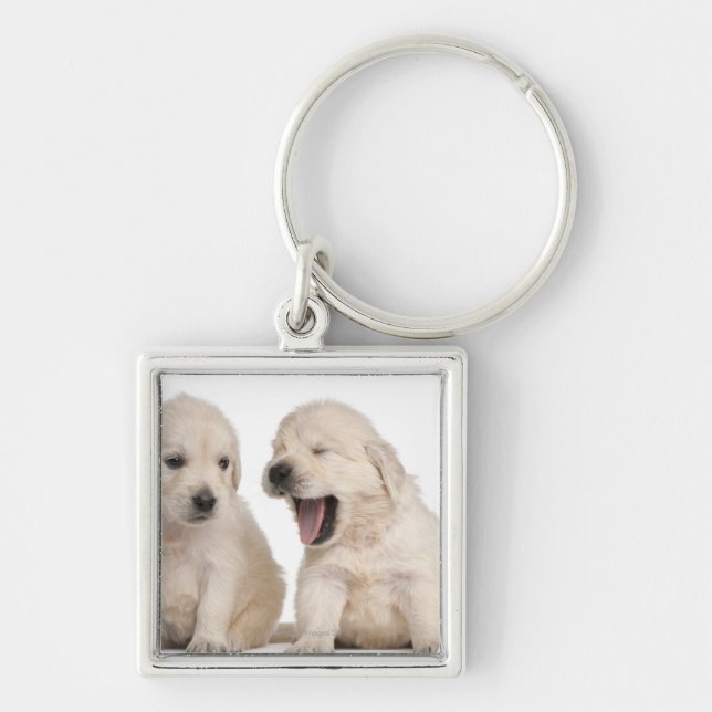 Porte-clés Chiots de golden retriever (4 semaines de) (Devant)