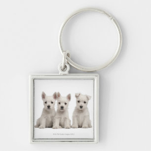 Porte-clés Chiots des montagnes occidentaux de Terrier (7