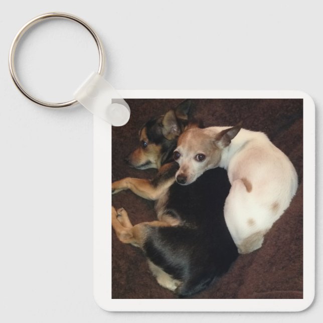 Porte-clés Chiots et Art (Recto)