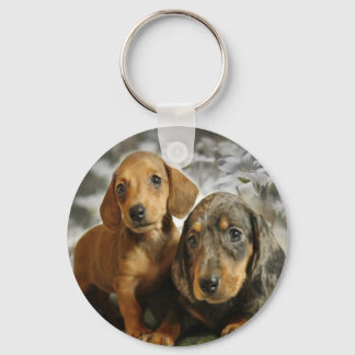 Porte-clés Chiots mignons Dachshund (Brown/Noir)