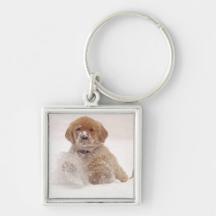 Porte-clés Chiots Retriever doré dans la neige