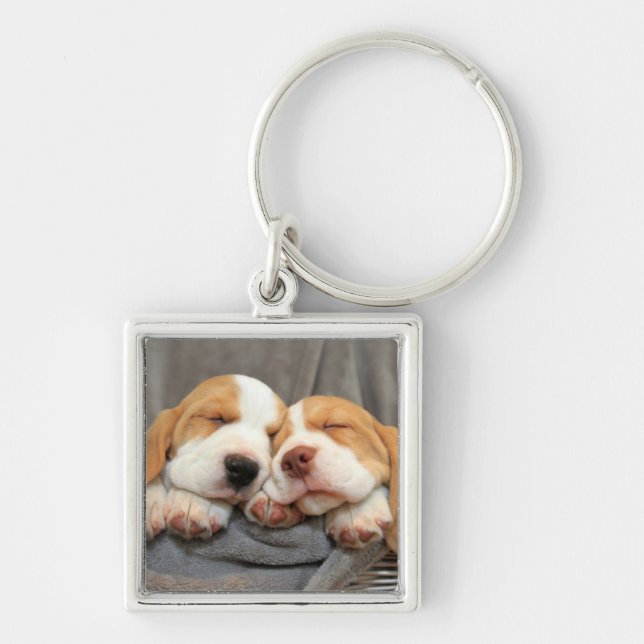 Porte-clés Chiots somnolents (Devant)