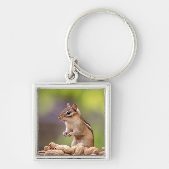 Porte-clés Chipmunk aux cacahuètes (Devant)