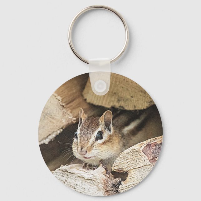 Porte-clés Chipmunk dans une pile de bois (Recto)