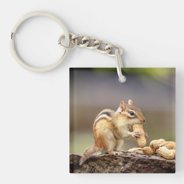 Porte-clés Chipmunk mange une cacahuète (Devant)