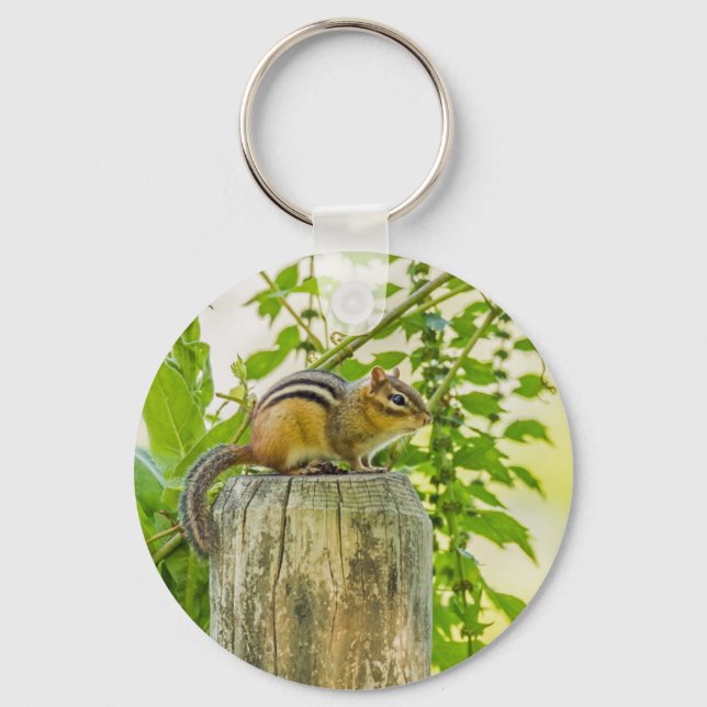 Porte-clés Chipmunk sur un poteau de clôture (Recto)